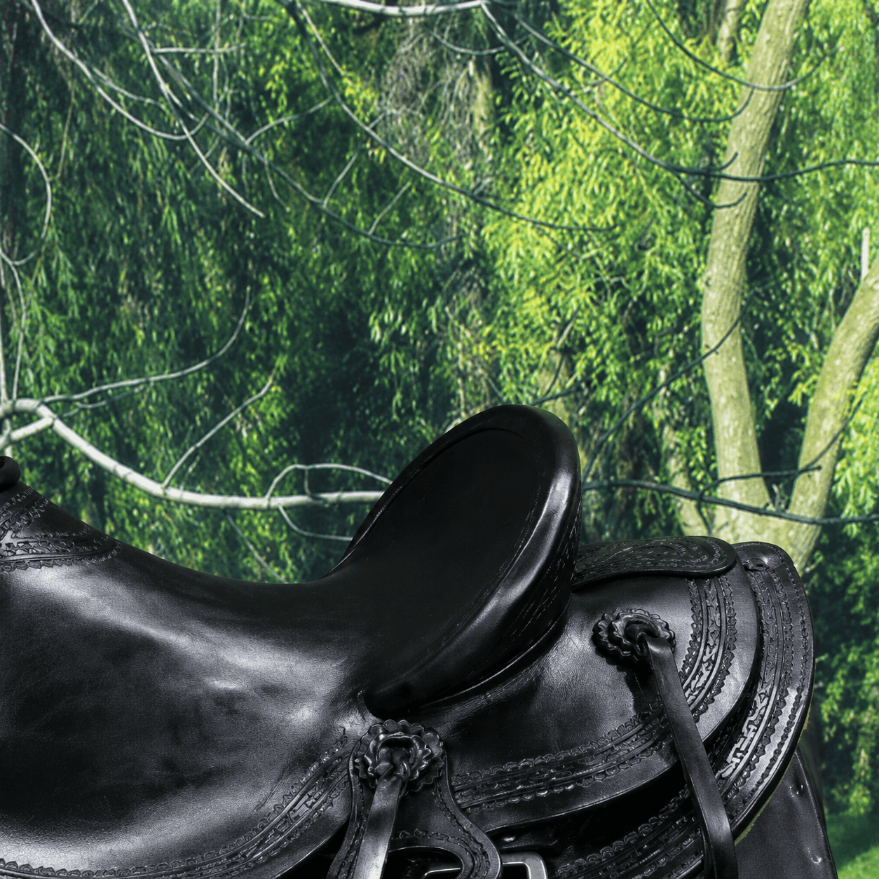 Black Western Horse Saddle Premium Leather Equestrian Riding Tack - Image 4